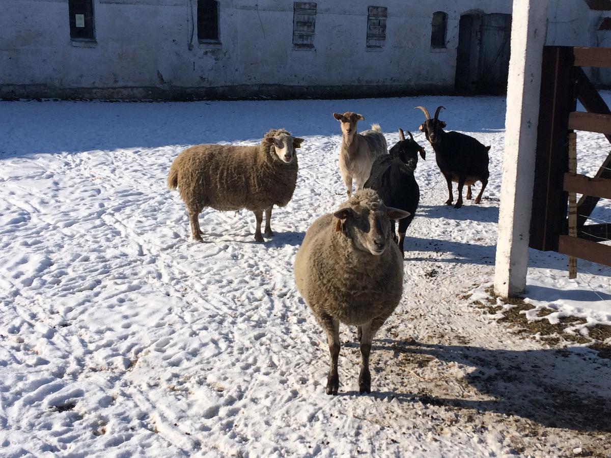 Folwark Luknajno Nad Jeziorem Sniardwy Gospoda Dziedzictwo Kulinarne Warmia-Mazury Mikołajki Luaran gambar